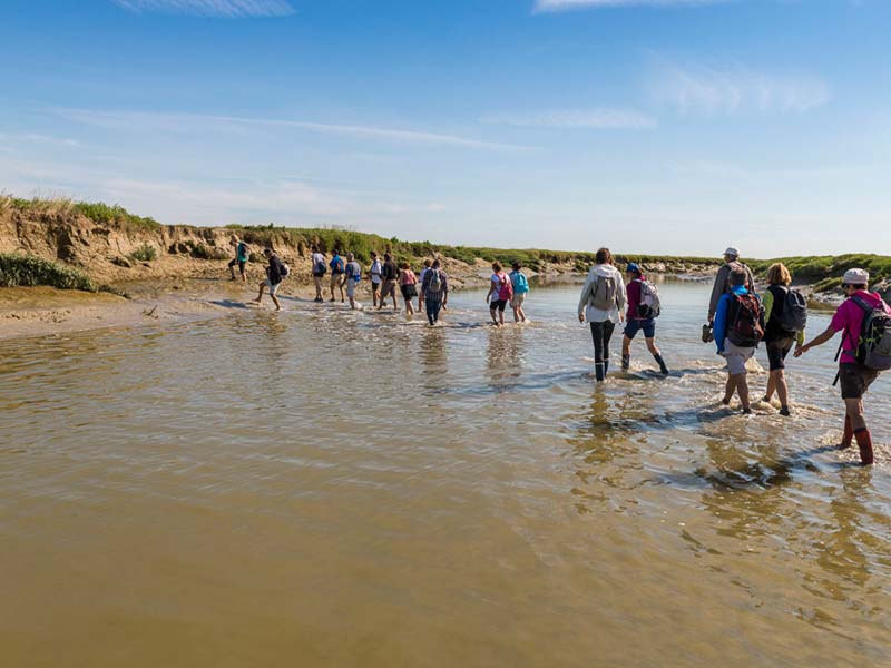 Randonnées baie de Somme