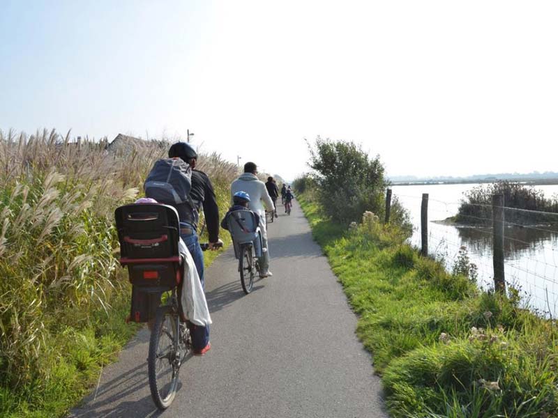 Balade à vélo baie de Somme